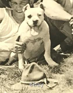 Antique Photo US Military Camp Soldiers Tents Flag Pit Bull Dog Shaving Food WWI