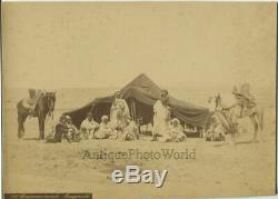 Arab camp men by tent with horses Couggourth Algeria antique albumen photo